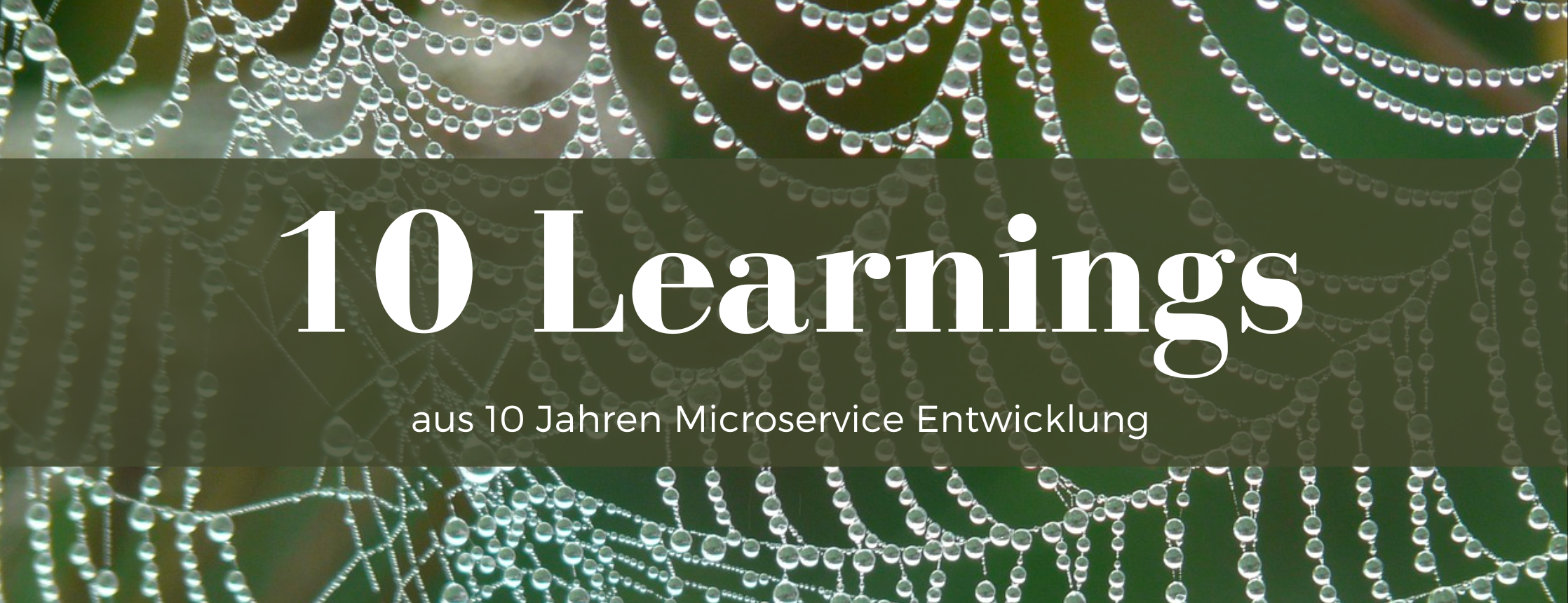 10 Learnings from 10 Years of Microservice Development