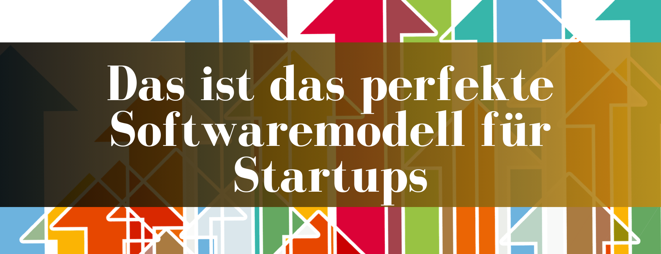 The Perfect Software Model for Startups